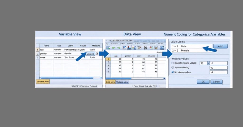 Combined SPSS data entry screenshot showing Variable View, Data View, and numeric coding for categorical variables, with blue arrows highlighting each step.