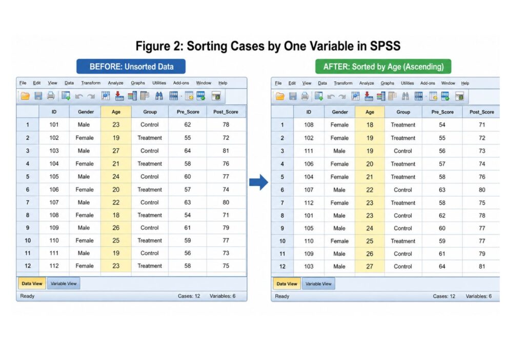 SPSS dataset sorted by age in ascending order